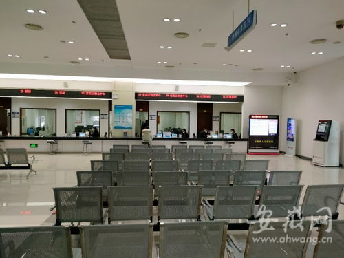 虎年開工首日探訪 安徽省政務(wù)服務(wù)中心窗口人員堅(jiān)守崗位，熱情服務(wù)暖人心