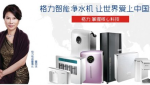 格力電器網(wǎng)絡(luò)營(yíng)銷(xiāo)與網(wǎng)絡(luò)技術(shù)推廣整合方案